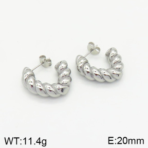Stainless Steel Earrings  2E2002028vbnb-334
