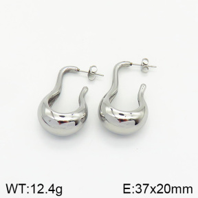 Stainless Steel Earrings  2E2002030vbnb-334
