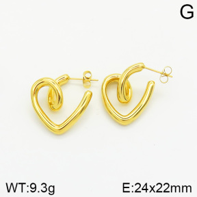 Stainless Steel Earrings  2E2002031bbov-334