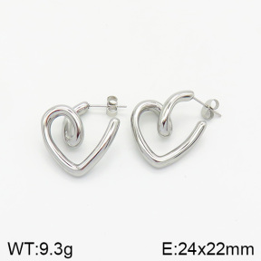 Stainless Steel Earrings  2E2002032vbnb-334