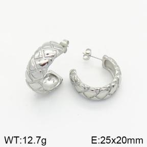 Stainless Steel Earrings  2E2002034vbnb-334