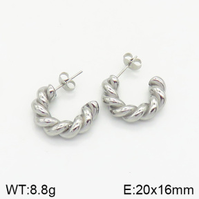 Stainless Steel Earrings  2E2002036vbnb-334