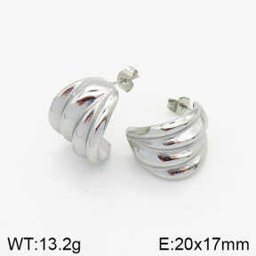Stainless Steel Earrings  2E2002038vbnb-334
