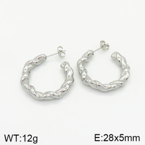 Stainless Steel Earrings  2E2002042vbnb-334