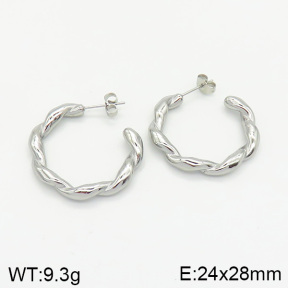 Stainless Steel Earrings  2E2002044vbnb-334