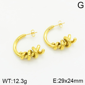 Stainless Steel Earrings  2E2002045bbov-334