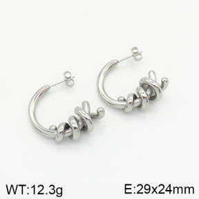 Stainless Steel Earrings  2E2002046vbnb-334