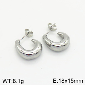 Stainless Steel Earrings  2E2002048vbnb-334