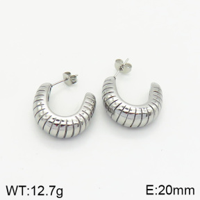 Stainless Steel Earrings  2E2002050vbnb-334