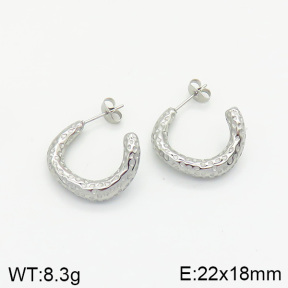 Stainless Steel Earrings  2E2002052vbnb-334