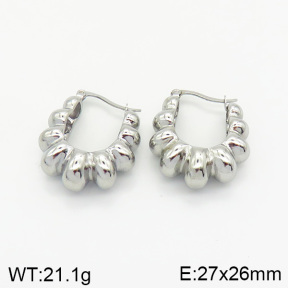 Stainless Steel Earrings  2E2002054vbnb-334