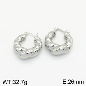Stainless Steel Earrings  2E2002055vbnb-334