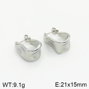 Stainless Steel Earrings  2E2002056vbnb-334