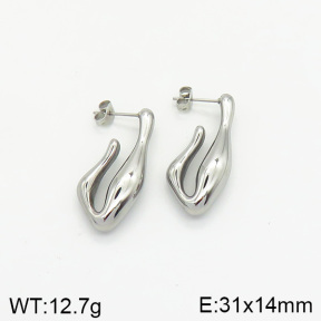 Stainless Steel Earrings  2E2002058vbnb-334