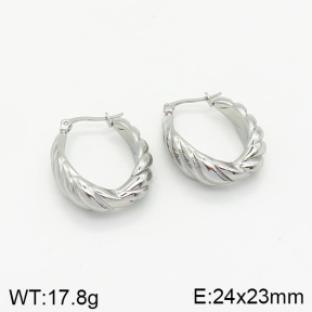 Stainless Steel Earrings  2E2002059vbnb-334