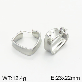 Stainless Steel Earrings  2E2002060vbnb-334