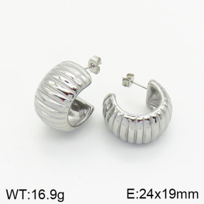 Stainless Steel Earrings  2E2002061vbnb-334