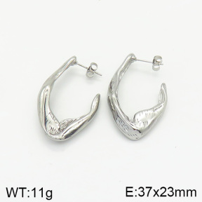 Stainless Steel Earrings  2E2002062vbnb-334