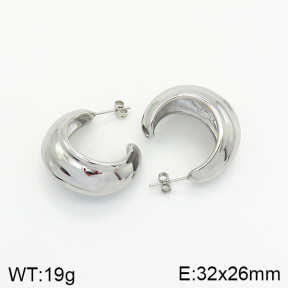 Stainless Steel Earrings  2E2002063vbnb-334