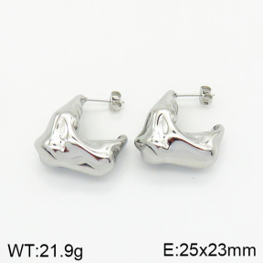 Stainless Steel Earrings  2E2002064vbnb-334