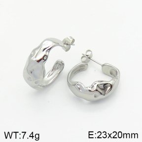 Stainless Steel Earrings  2E2002065vbnb-334