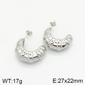 Stainless Steel Earrings  2E2002066vbnb-334