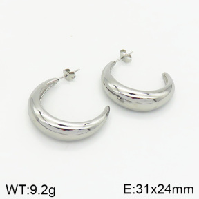 Stainless Steel Earrings  2E2002067vbnb-334