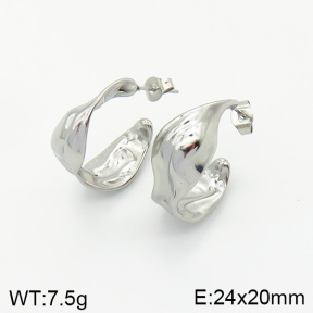 Stainless Steel Earrings  2E2002069vbnb-334