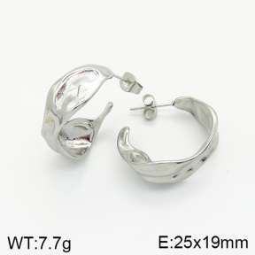 Stainless Steel Earrings  2E2002071vbnb-334