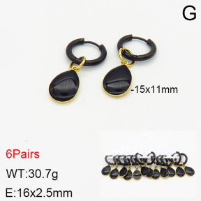 Stainless Steel Earrings  2E3001344ajma-212