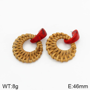 Stainless Steel Earrings  2E3001357vbmb-212