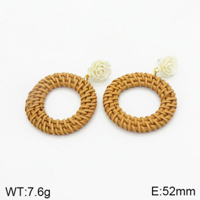 Stainless Steel Earrings  2E3001361vbmb-212