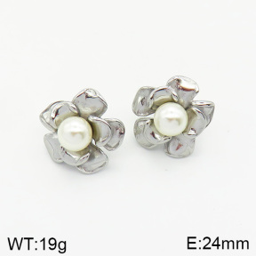 Stainless Steel Earrings  2E3001370vbnl-334