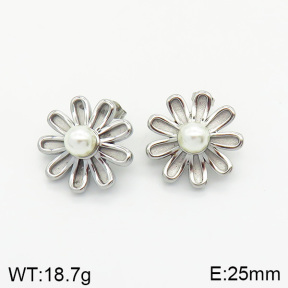 Stainless Steel Earrings  2E3001372vbnl-334