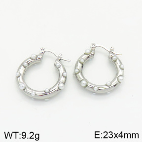 Stainless Steel Earrings  2E3001374bbov-334
