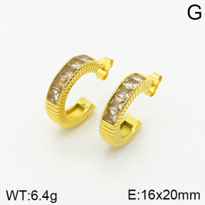 Stainless Steel Earrings  2E4002220abol-334