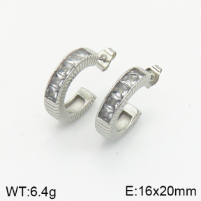 Stainless Steel Earrings  2E4002221vbnl-334
