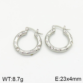 Stainless Steel Earrings  2E4002222bbov-334