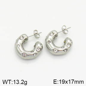 Stainless Steel Earrings  2E4002223abol-334