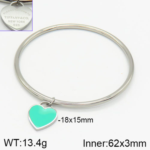 Tiffany & Co  Bangles  PZ0173094bbov-434