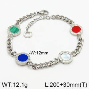 Stainless Steel Bracelet  2B4002465bbml-414