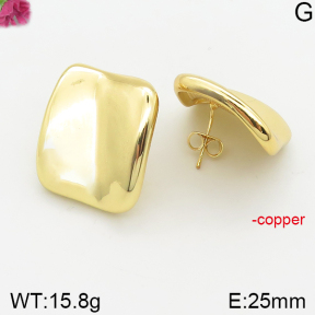 Fashion Copper Earrings  F5E200293bhva-J40