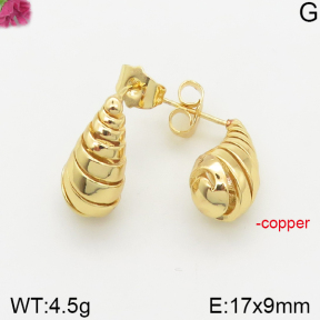 Fashion Copper Earrings  F5E200307bbov-J40