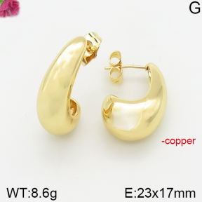 Fashion Copper Earrings  F5E200317vbnb-J40