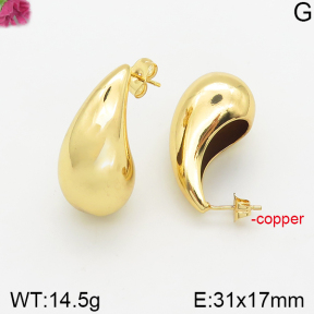 Fashion Copper Earrings  F5E200318bbov-J40