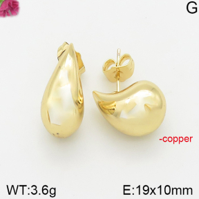 Fashion Copper Earrings  F5E200341vbnb-J40