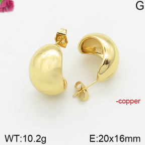 Fashion Copper Earrings  F5E200342vbnb-J40