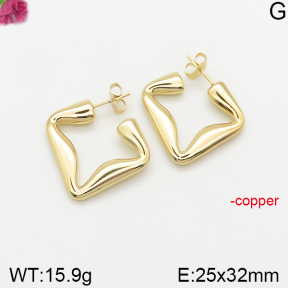 Fashion Copper Earrings  F5E200353vbnb-J40