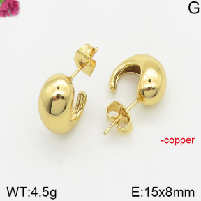 Fashion Copper Earrings  F5E200356vbnb-J40