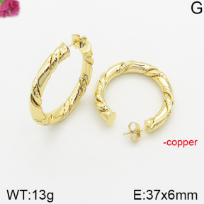 Fashion Copper Earrings  F5E200360bbov-J40
